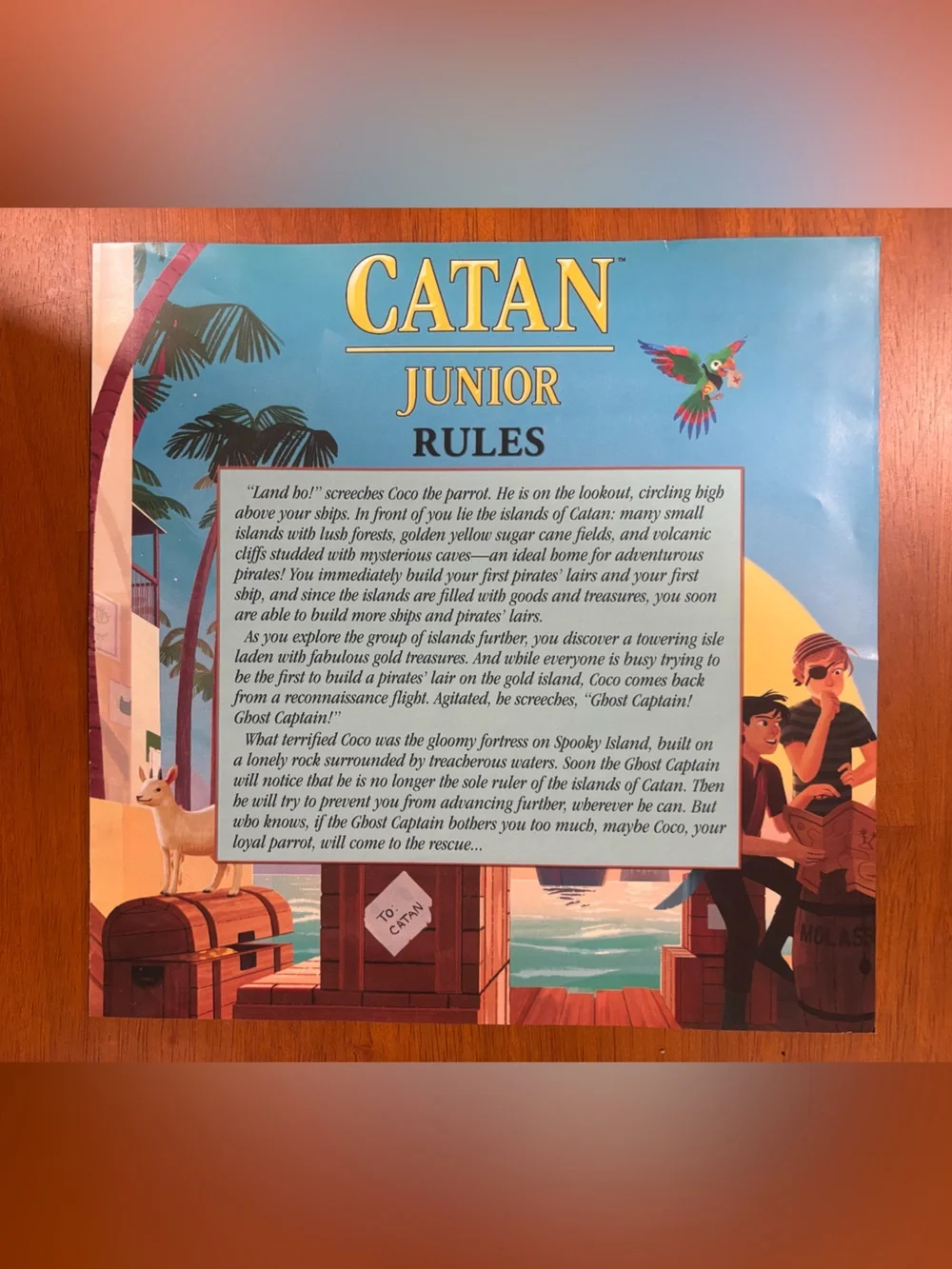Catan Junior Board Game - Great Condition